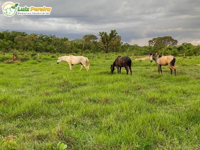 #3083 - Fazenda para Venda em Taipas do Tocantins - TO - 1
