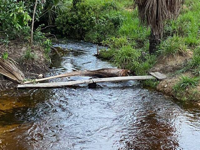 #3083 - Fazenda para Venda em Taipas do Tocantins - TO - 2