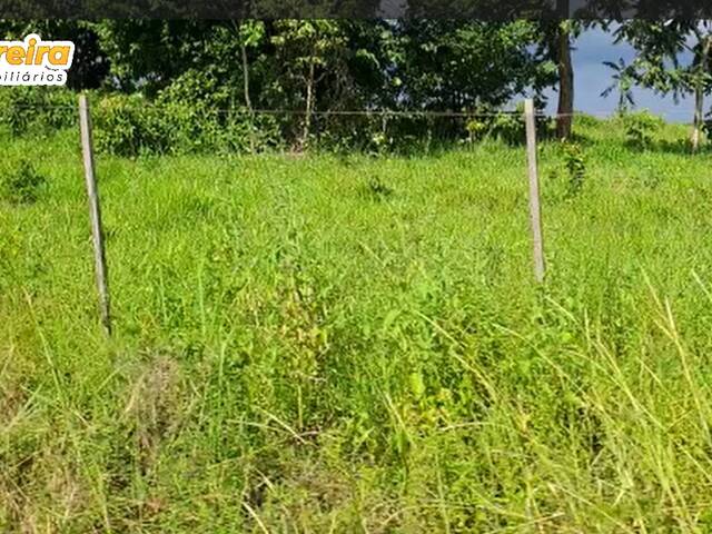 #3088 - Fazenda para Venda em Terra Nova do Norte - MT - 2