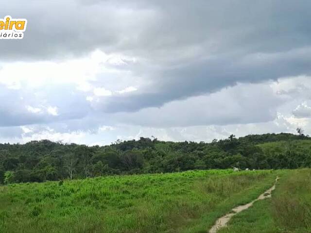 #3088 - Fazenda para Venda em Terra Nova do Norte - MT - 3