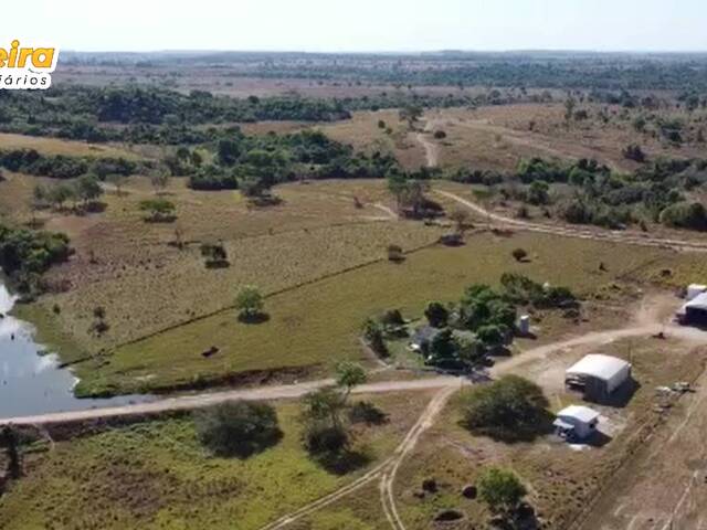 #3088 - Fazenda para Venda em Terra Nova do Norte - MT - 1
