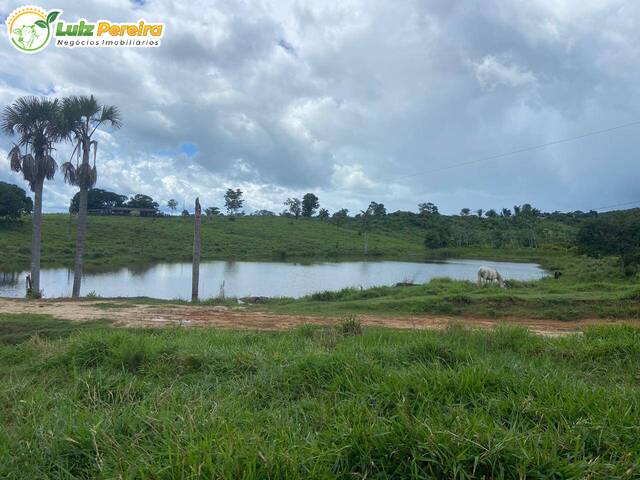 #3076 - Fazenda para Venda em Pacajá - PA - 3