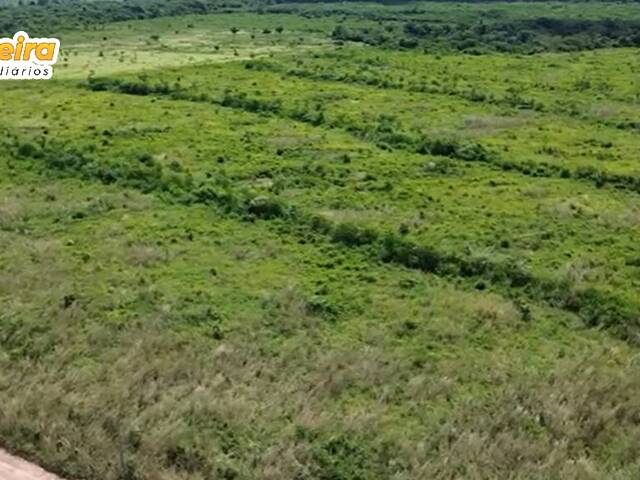 #3089 - Fazenda para Venda em Portel - PA - 2