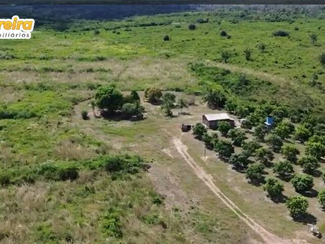 #3089 - Fazenda para Venda em Portel - PA - 1