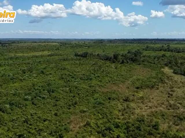 Fazenda para Venda em Goianésia do Pará - 4