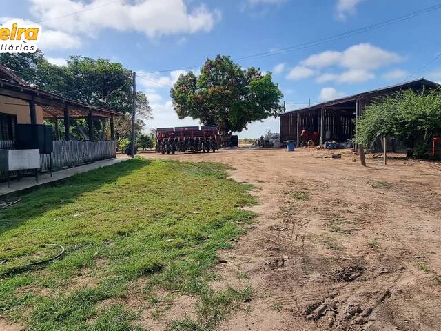 #3090 - Fazenda para Venda em Tailândia - PA - 3