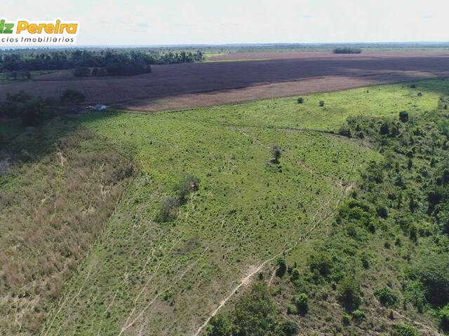 #3090 - Fazenda para Venda em Tailândia - PA - 1