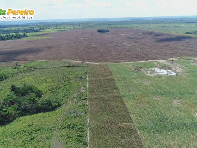 #3090 - Fazenda para Venda em Tailândia - PA - 2