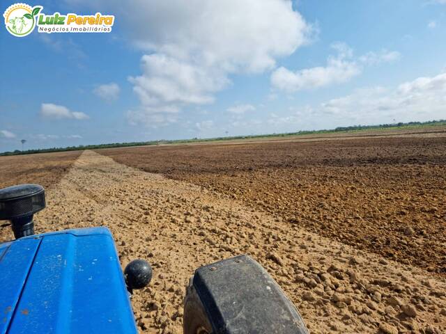 Fazenda para Venda em Tailândia - 5