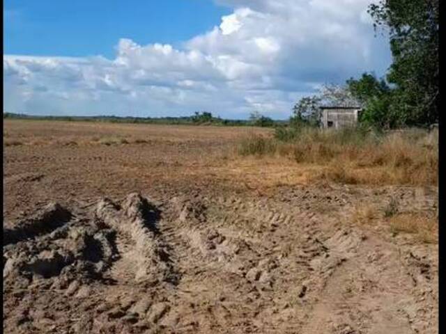 Fazenda para Venda em Tailândia - 4