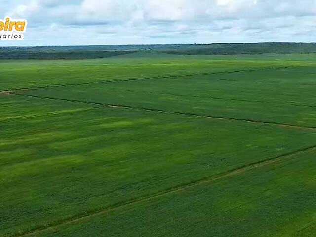 #3091 - Fazenda para Venda em Portel - PA - 3