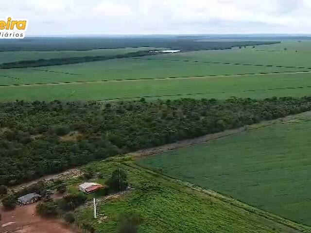 #3091 - Fazenda para Venda em Portel - PA - 1