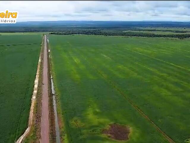 Fazenda para Venda em Bom Jesus do Araguaia - 4