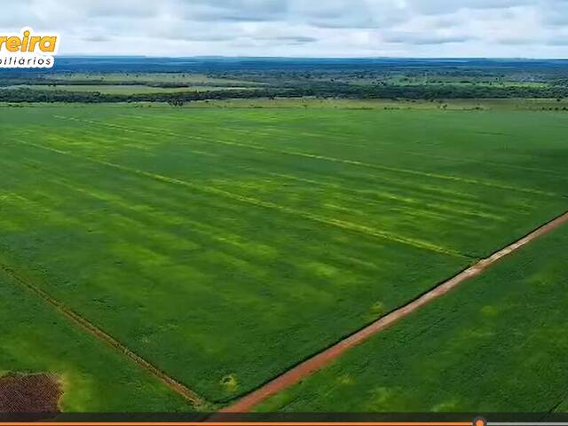 Fazenda para Venda em Bom Jesus do Araguaia - 5