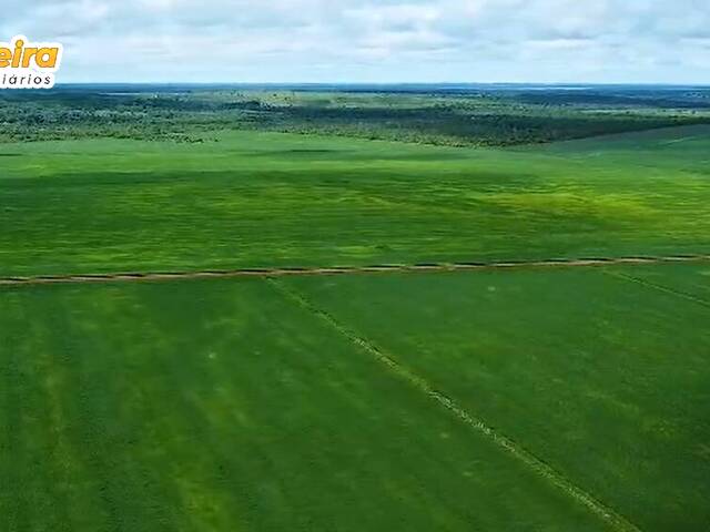 Fazenda para Venda em Bom Jesus do Araguaia - 2