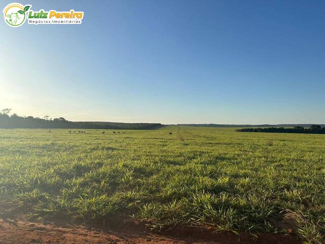 Fazenda para Venda em Nova Mutum - 5
