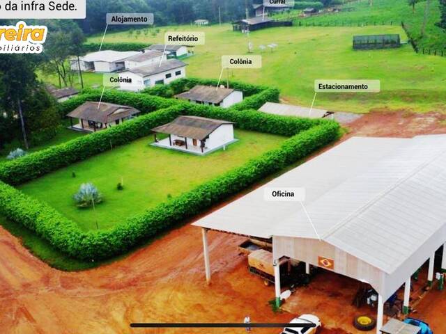 #3092 - Fazenda para Venda em Nova Mutum - MT - 1