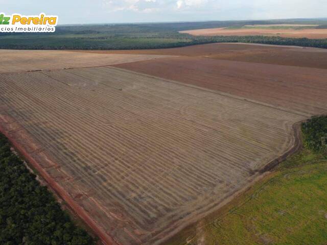 #3092 - Fazenda para Venda em Nova Mutum - MT - 2