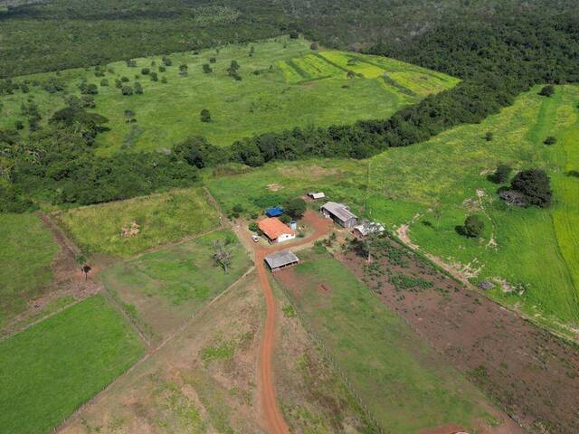 #3093 - Fazenda para Venda em Palmeiras do Tocantins - TO - 3