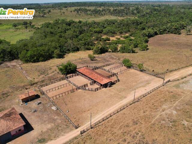 #3094 - Fazenda para Venda em Portel - PA - 2