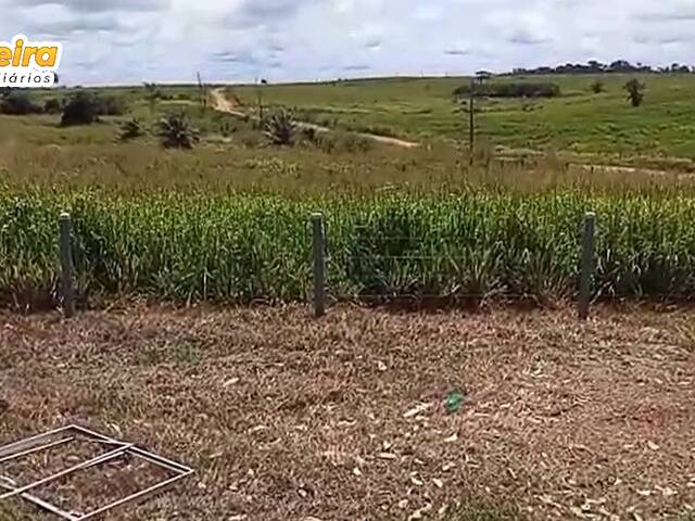 Fazenda para Venda em Marabá - 5