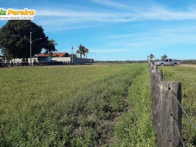 #3096 - Fazenda para Venda em Bannach - PA - 3