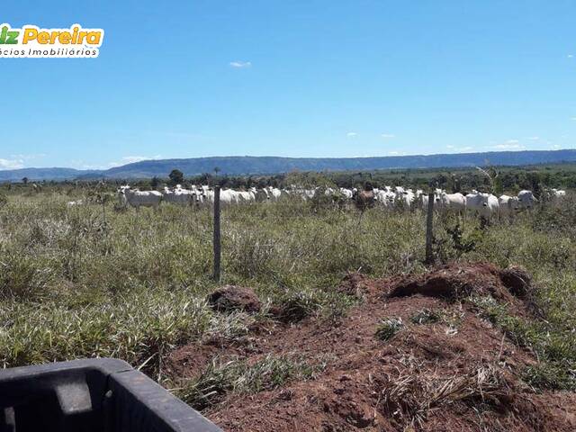 #3096 - Fazenda para Venda em Bannach - PA - 1