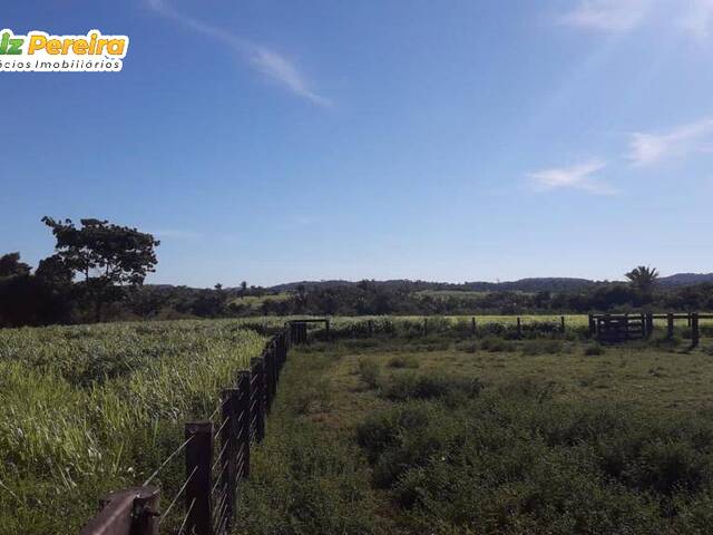 Fazenda para Venda em Bannach - 4