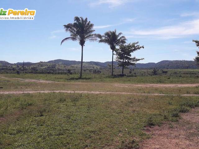 #3096 - Fazenda para Venda em Bannach - PA - 2