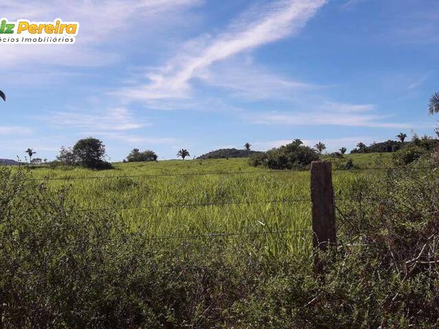 Fazenda para Venda em Bannach - 5