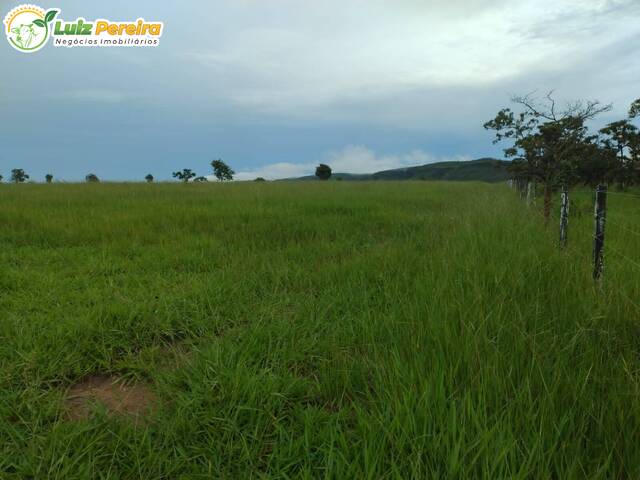 #3097 - Fazenda para Venda em Barra do Garças - MT - 1