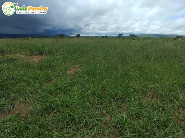 #3097 - Fazenda para Venda em Barra do Garças - MT - 2