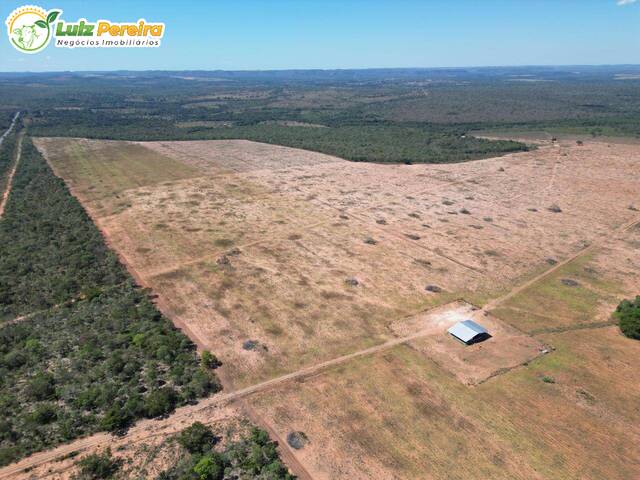 Fazenda para Venda em Wanderlândia - 4