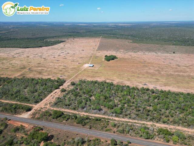 Fazenda para Venda em Wanderlândia - 5