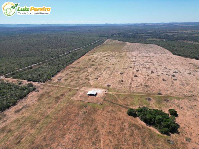 #3098 - Fazenda para Venda em Wanderlândia - TO - 3