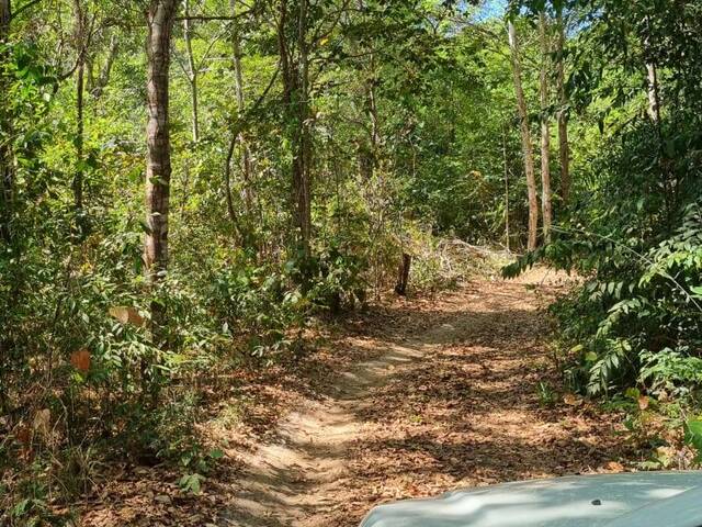 #3101 - Fazenda para Venda em Barra do Corda - MA - 2