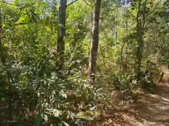 #3101 - Fazenda para Venda em Barra do Corda - MA - 1