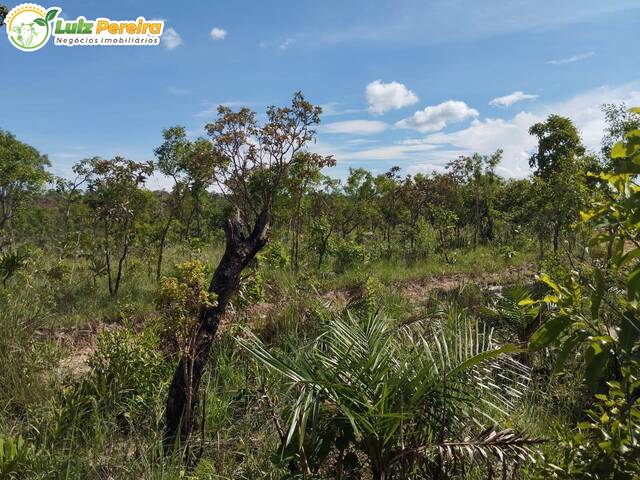 #1915 - Fazenda para Venda em Centenário - TO - 3