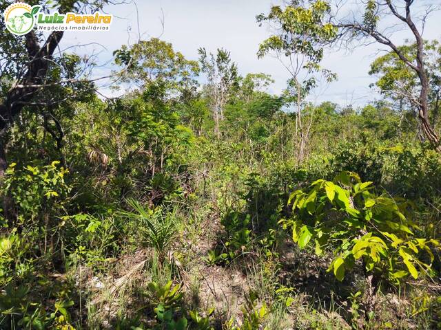 Venda em Centenário - Centenário