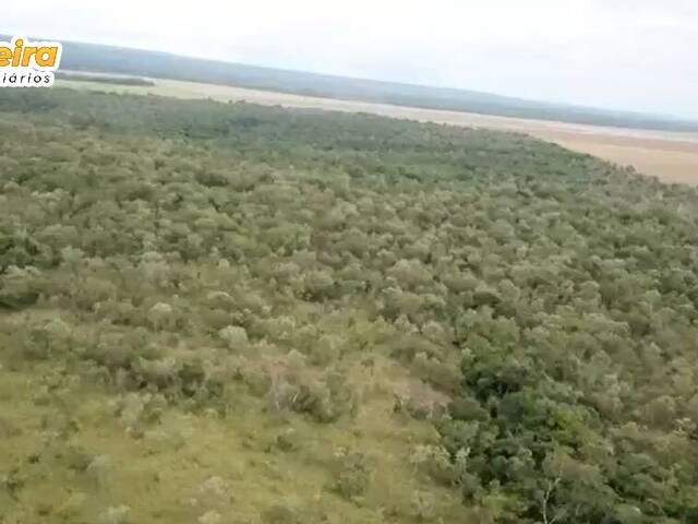 Fazenda para Venda em Goiatins - 5