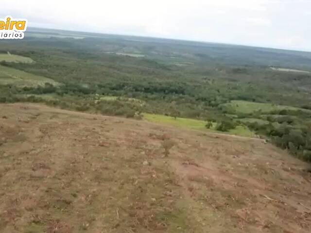 Fazenda para Venda em Goiatins - 4