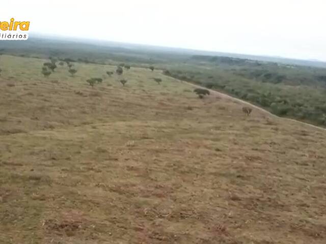 #3102 - Fazenda para Venda em Goiatins - TO - 3