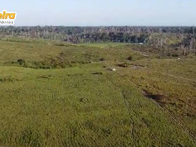 Fazenda para Venda em Anapu - 4