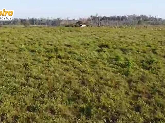 Fazenda para Venda em Anapu - 5