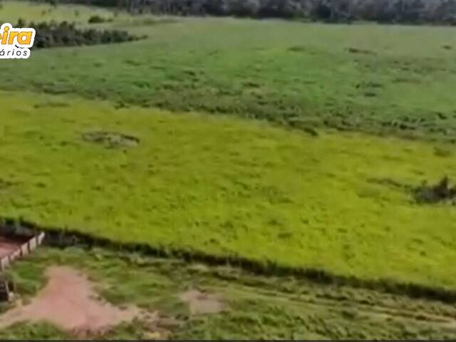Fazenda para Venda em Uruará - 5