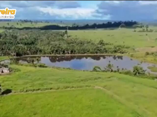 #3104 - Fazenda para Venda em Uruará - PA - 1