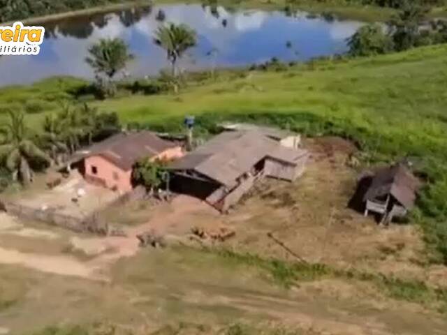 Fazenda para Venda em Uruará - 4