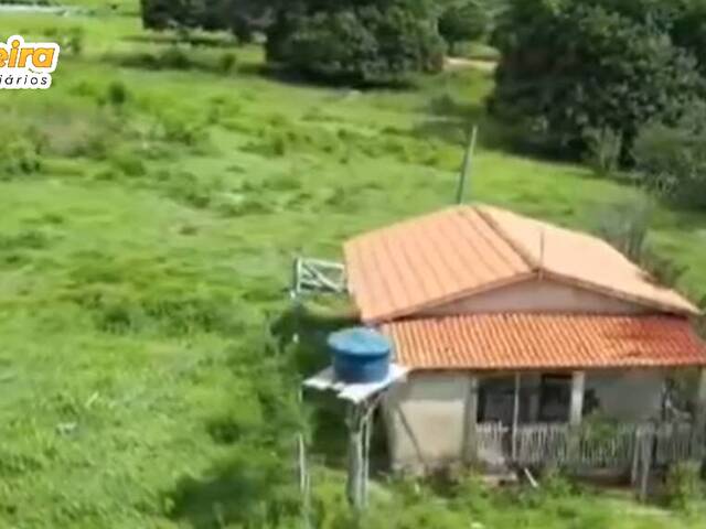 Fazenda para Venda em Abel Figueiredo - 5