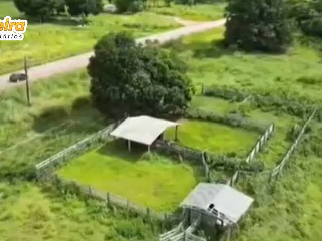 #3105 - Fazenda para Venda em Abel Figueiredo - PA - 2