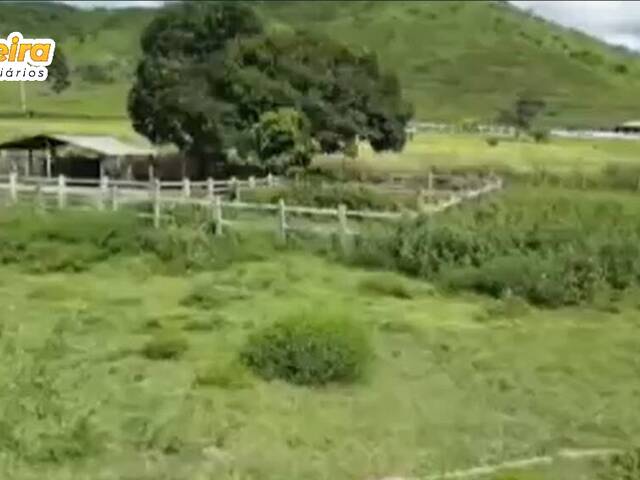 Fazenda para Venda em Abel Figueiredo - 4